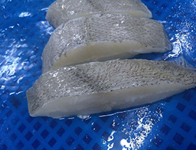 比目魚切條