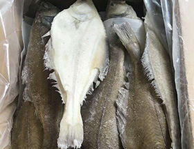整條比目魚